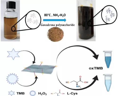 一文了解石墨烯基納米酶及石墨烯基復(fù)合材料的制備